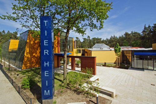 Tierheim Nürnberg: "Misha wurde zum Glück abgegeben"