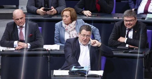AfD-Fraktion will Bundestagsvize - fünf Männer interessiert