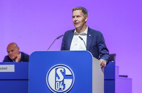 Schalke: CEO gefunden, Trainer gesucht, Knäbel gefährdet