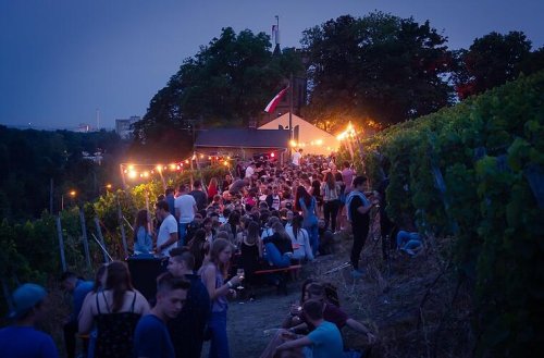Wird ein Weinfest in Franken aus Rücksicht vor Gläubigen alkoholfrei? Veranstalter redet Tacheles