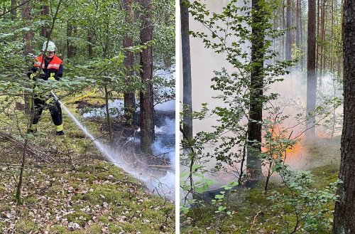 Bamberg: Brand im Hauptsmoorwald - Bauunternehmen unterstützt Feuerwehren