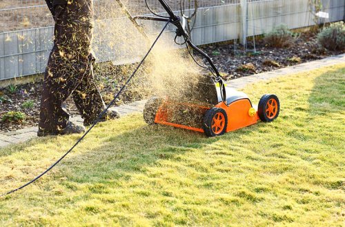 Bierflaschen-Trick für den perfekten Rasen im Garten - so funktioniert es