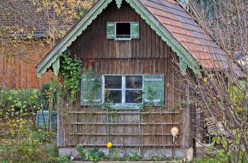 Tierheim Hof wendet sich an Bevölkerung: "Bitte schaut in Garagen und Gartenhäusern nach"