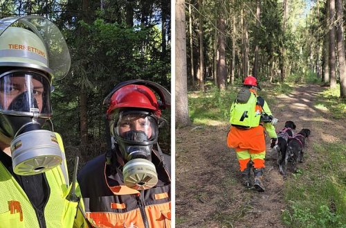 Massiver Waldbrand in Franken: "Tierschutz bedeutet oft mehr, als Tiere zu retten"