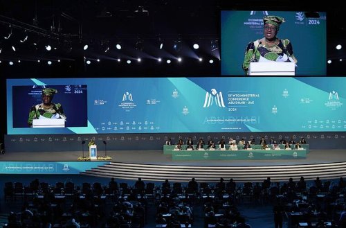 Fischereiabkommen auf WTO-Konferenz gescheitert