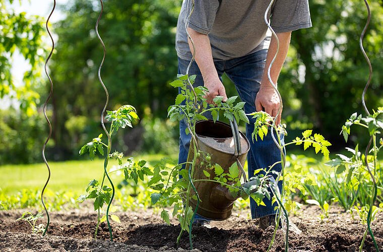 Garten cover image
