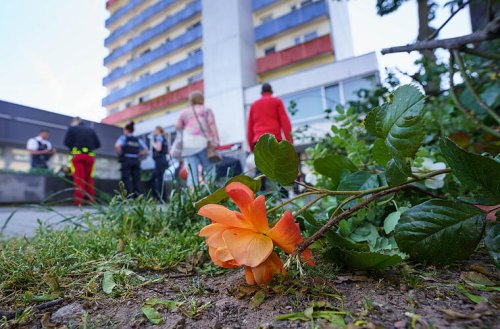 Tote Kinder in Hanau - jetzt melden die Fahnder einen großen Erfolg