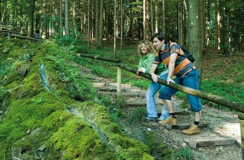 20 Jahre Frankenweg: Eine Wandertour durch Vielfalt und Geschichte Frankens