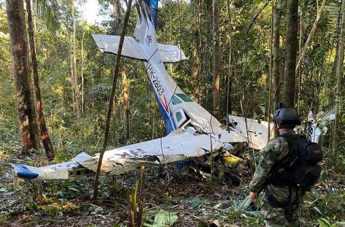 Wunder im Amazonas: Vier Geschwister (1-13) überleben nach Flugzeugabsturz 40 Tage allein im Regenwald