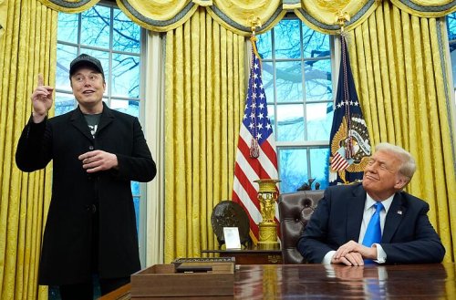 Musk will mehr Tesla-Chef statt Trumps Kostensenker sein