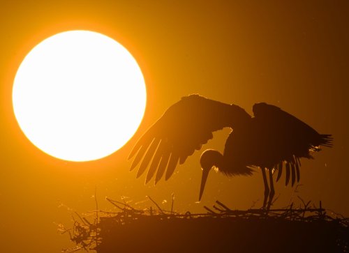 Bis zu 29 Grad: Warme Woche mit sonnigem Feiertagswetter