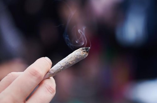 Bayerns Pläne gegen Cannabis-Legalisierung: "Zentrale Kontrolleinheit" soll "gefährliche Droge eindämmen"