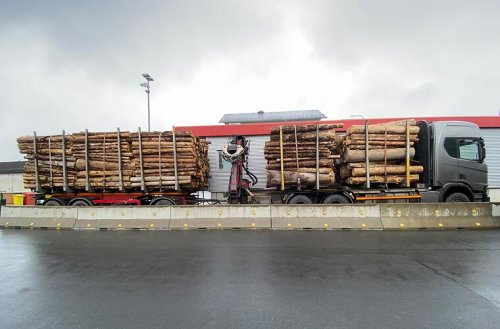 Flotter Holztransporter "erneut massiv überladen" unterwegs - Fahrer nach wenigen Tage erneut erwischt