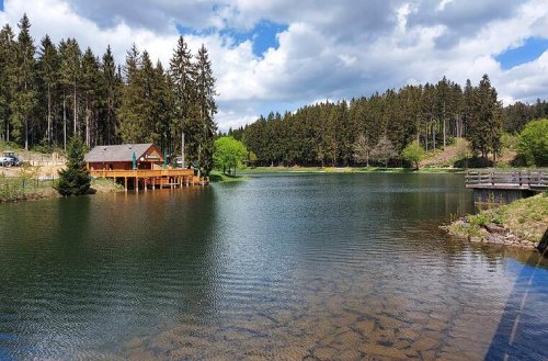 Wildpark, Kirschblüten, Bierwanderung: 5 Ausflugstipps für den Frühling in Franken