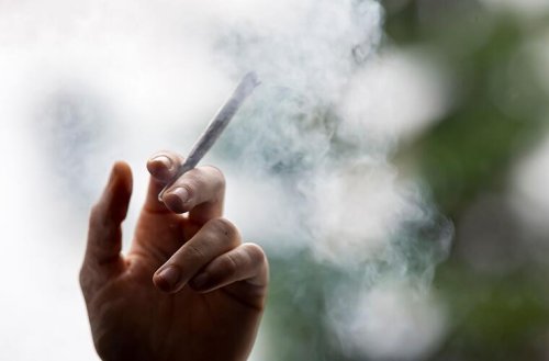 UN-Drogenbericht warnt: Cannabis wird immer stärker - mehr Sucht und psychische Störungen