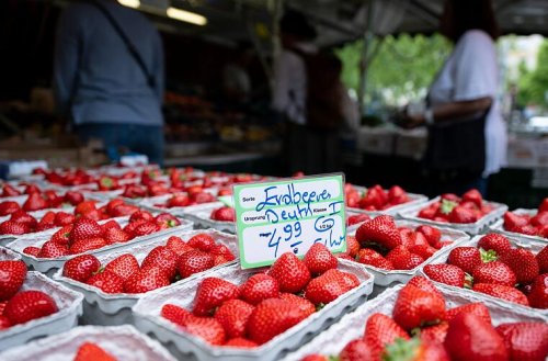 Mit 5 Tipps bleiben deine Erdbeeren viel länger haltbar