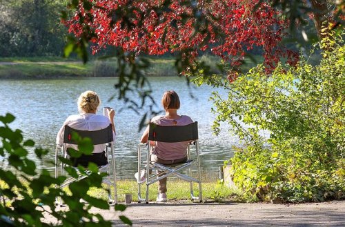 Wetter in Franken: Warm mit ein wenig Nebel - Altweibersommer mit geringer Regengefahr