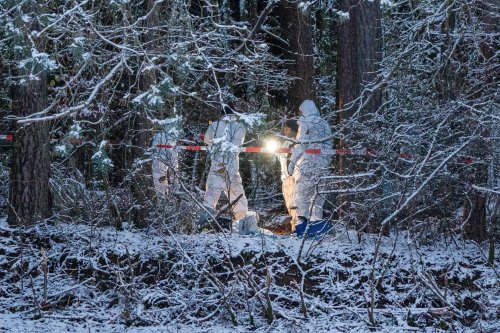 Kreis Nürnberger Land: Ehefrau getötet und in Wald verscharrt haben? Prozess beginnt bald