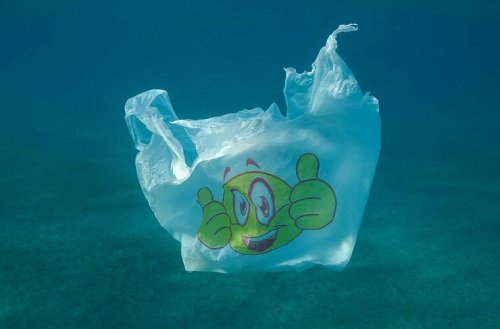 Lemke dringt auf starkes Abkommen gegen Plastikmüll im Meer
