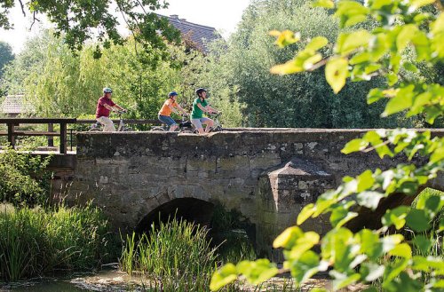 Deutschlands populärste Radwege: Drei aus den Top 10 liegen in Franken