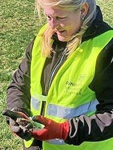 Spannendes Krötenprojekt