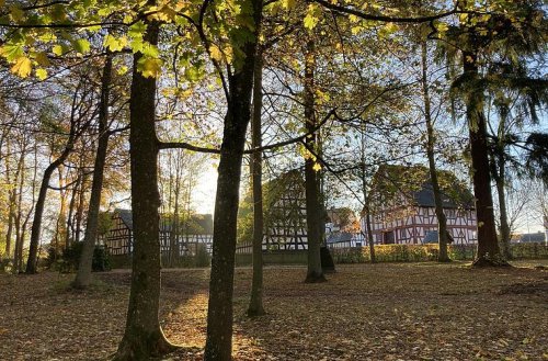 Urlaub im Westerwald: Ein Paradies für Naturliebhaber und Abenteurer