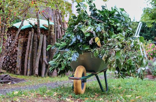 Bis zu 100.000 Euro Bußgeld: Diese Gartenarbeiten können teuer für dich werden