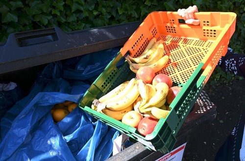 Lebensmittelverschwendung: Sind doch nicht wir Verbraucher schuld?