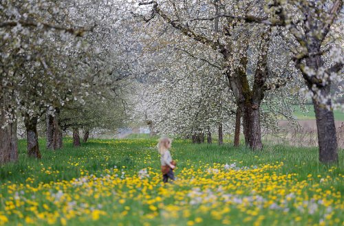 Warm in den Frühling: Wir verraten unsere Lieblings-Ausflugsziele in Franken