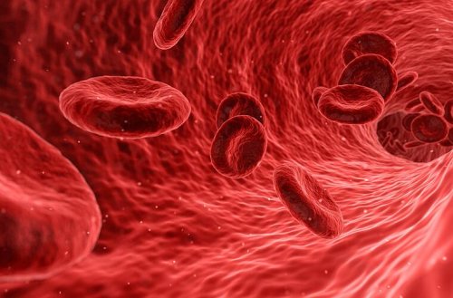 "Gutes" und "böses" Cholesterin: Das sagt der Blutfettwert wirklich aus