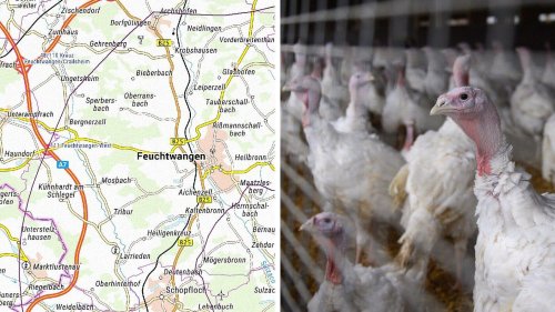 Bestätigter Vogelgrippe-Fall in Feuchtwangen: 30.000 Tiere getötet und Schutzzonen ausgewiesen