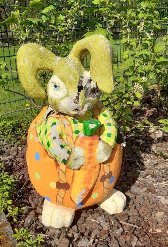 Osterhase wird zum Waschbär-Nest