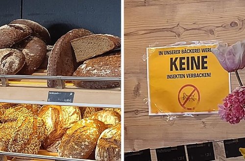 "Keine Insekten verbacken": Bamberger Bäckerei-Filiale wendet sich an Kunden