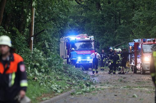 Schwere Unwetter in Franken: Umgestürzte Bäume, überflutete Straßen - Feuerwehr zieht Bilanz