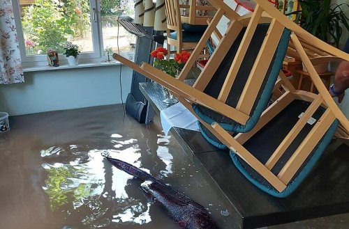 Unwetter-Tragödie: Familie kriegt keine Versicherung - dann kommen die Wassermassen