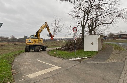 Kitzingen/Großlangheim: Rodung wegen Kreiselbau - Vorarbeiten auf der Staatstraße haben begonnen