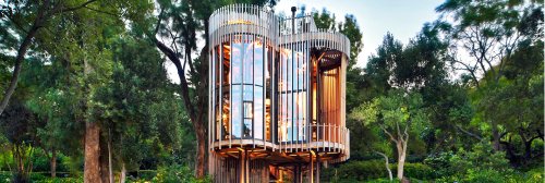 Incredible luxury tree house is hidden away in a Cape Town forest