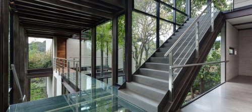 Stunning house in the trees proves that modern design can live in harmony with nature
