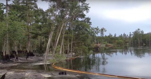 VIDEO: 26 acre Louisiana sinkhole swallows whole trees in 30 seconds
