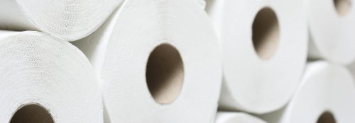 The environmental problem with toilet paper and what to use instead