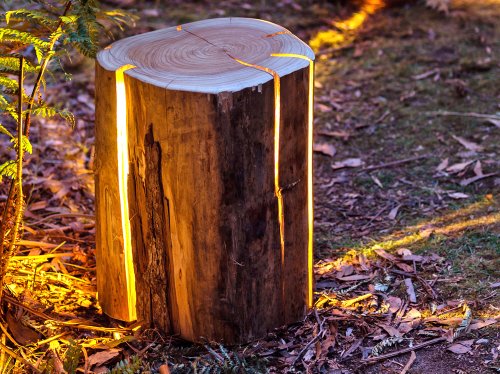 Duncan Meerding transforms tree stumps into lamps that double as tables and stools