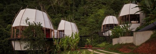 Pod-shaped Coco Villa immerses guests in nature and luxury