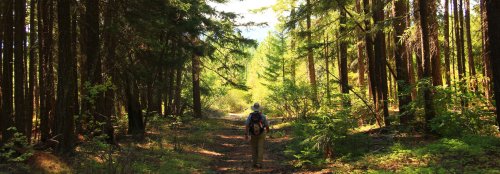 Trailhead Ambassador Program enhances hiking in Oregon