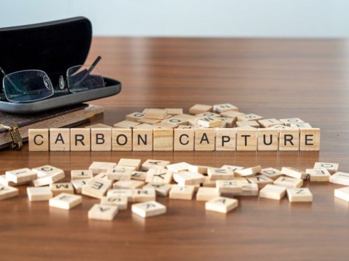 Carbon to Value Initiative launches business accelerator for carbontech startups