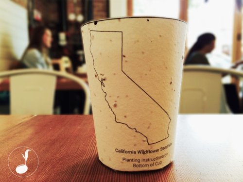 The world's first plantable coffee cup replenishes local flora