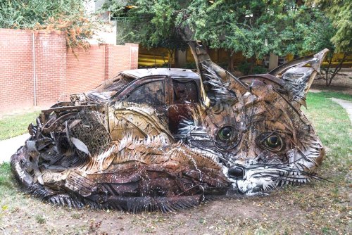 Artist turns urban trash into amazing animal murals