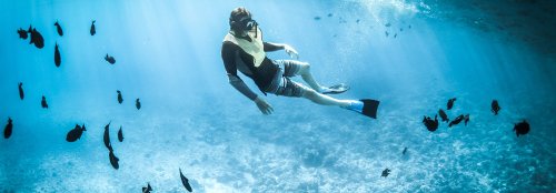 Take a virtual dive with NOAA