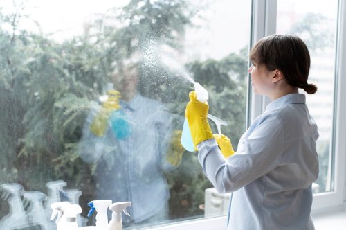 Window Cleaning Made Easy: Tips and Tricks for a Crystal Clear View