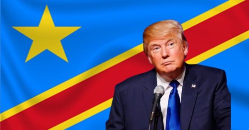 “Dumbest President Ever”—Donald Trump Slammed Over Bizarre Congo Comment