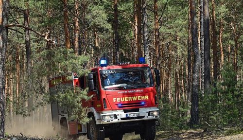 Schwer zugänglicher Waldbrand hält Feuerwehr in Atem
